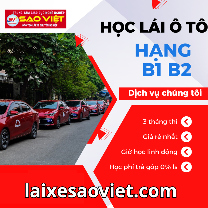 học lái xe bằng b2 tại học lái xe sao việt